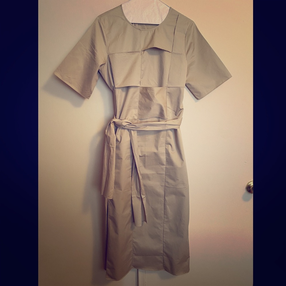 Cos flatter fit dress